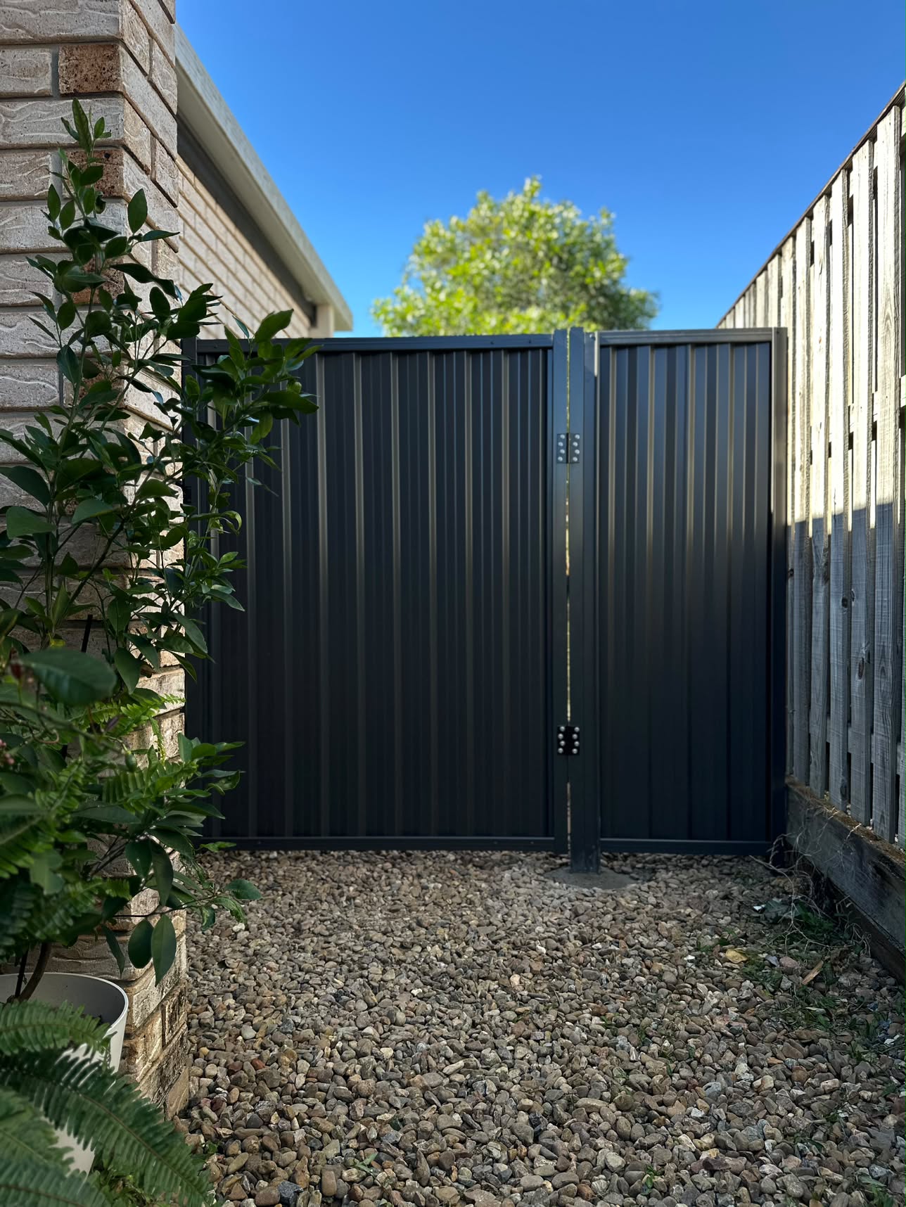 Recent fencing project by Elite 7 Fencing, Brisbane